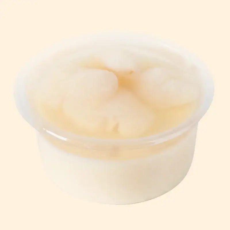 Pudding Leci